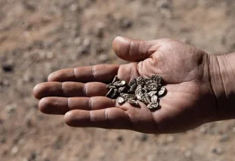 İzmir’de çocuklar toprakla buluşuyor: Tohumdan sofraya etkinliği büyük ilgi görüyor