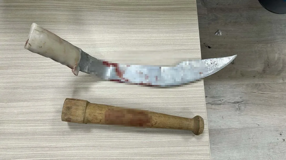 İzmir&#039;de kayınpeder-damat kavgası: Pala ve sopalar havada uçuştu haberinin görseli
