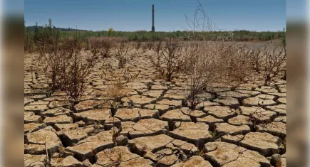 Yağışlar, kuraklığı bitirecek mi?