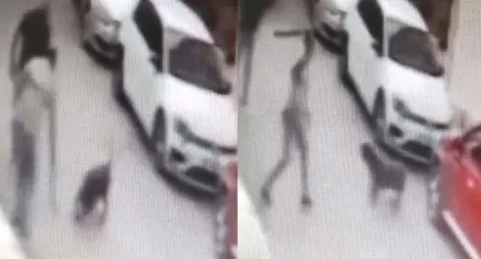 İzmir’de sokak köpeğine kemerle vuran kişi gözaltına alındı