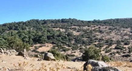 İzmir Büyükşehir Belediyesi'nden Yamanlar’a çöp tesisi hamlesi