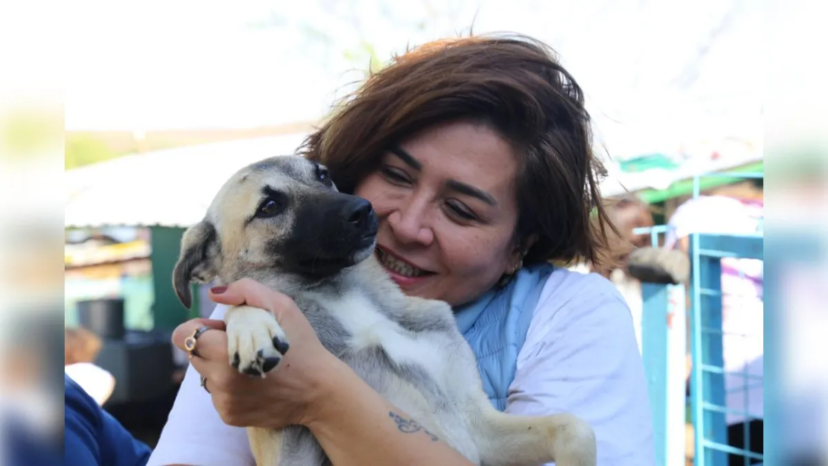 Toplum Gönüllüleri Vakfı’ndan Hayvanları Koruma Günü’ne özel çağrı haberinin görseli