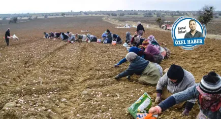 Çiftçi, maliyet ve kuraklık kıskacında
