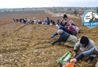 Çiftçi, maliyet ve kuraklık kıskacında