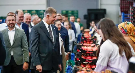 Narın bereketine ortak oldu... Başkan Cemil Tugay çiftçilerle hasatta buluştu