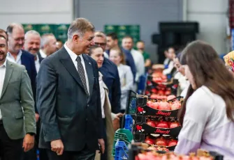 Narın bereketine ortak oldu... Başkan Cemil Tugay çiftçilerle hasatta buluştu