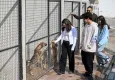Öğrenciler can dostlar için bir araya geldi