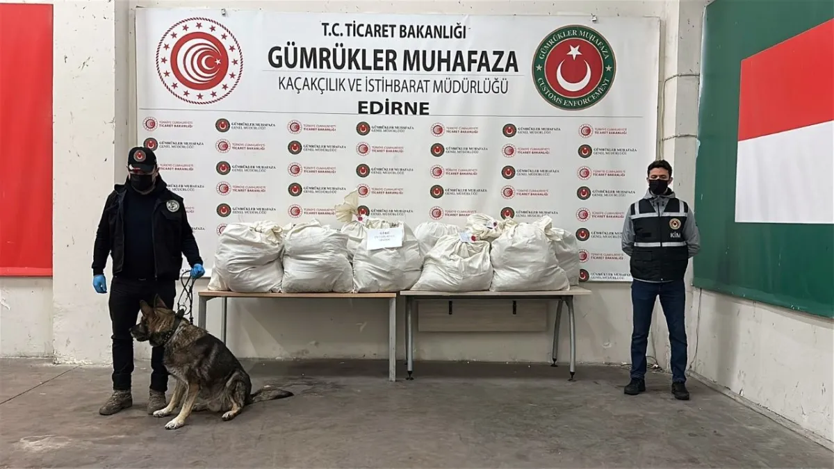 Edirne’de TIR’da 113 kilo esrar ele geçirildi: Narkotik köpeği ‘Uzay’ şüpheliyi yakaladı haberinin görseli