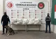Edirne’de TIR’da 113 kilo esrar ele geçirildi: Narkotik köpeği ‘Uzay’ şüpheliyi yakaladı