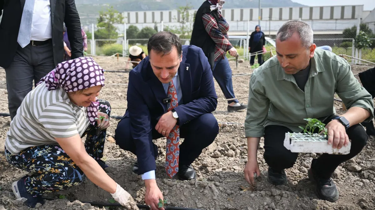 Bornova’da Misket Üzümü yeniden hayat buluyor haberinin görseli