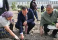 Bornova’da Misket Üzümü yeniden hayat buluyor