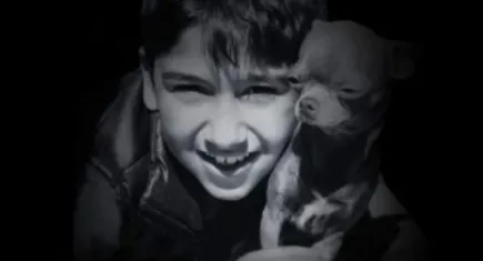 İzmir haber: Otomobilin çarptığı Sıraç yaşam savaşını kaybetti