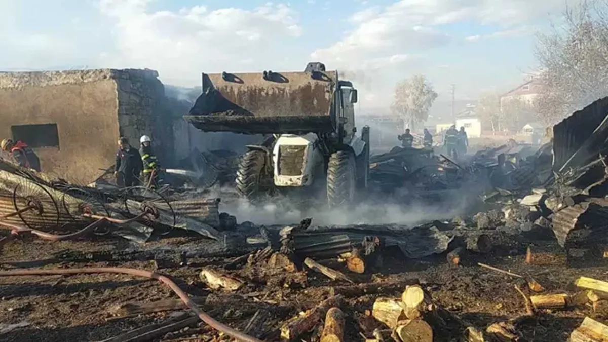 Ardahan’da  ağır yangını : 23 hayvan öldü haberinin görseli