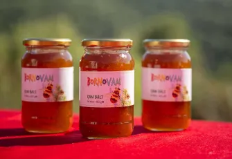 Bornova’da bal hasadı sevinci