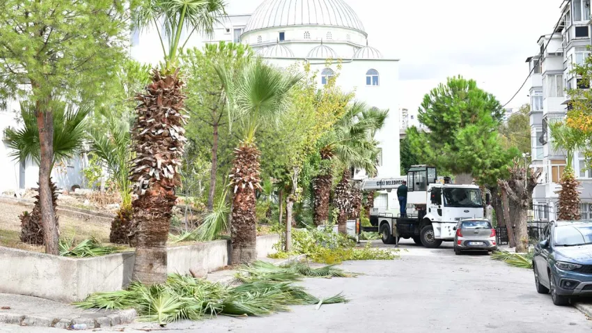 Çiğli’de sonbahar mesaisi: Çevre düzenleme ve bakım çalışmaları başladı