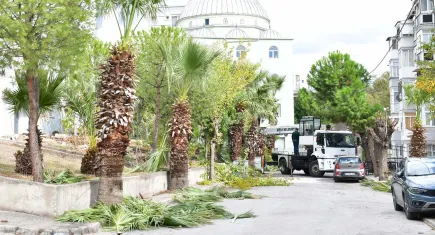 Çiğli’de sonbahar mesaisi: Çevre düzenleme ve bakım çalışmaları başladı