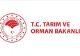 KPSS ile Tarım ve Orman Bakanlığı’nda iş fırsatı! Hangi kadrolar açık? Kadrolara nasıl başvuru yapılacak?