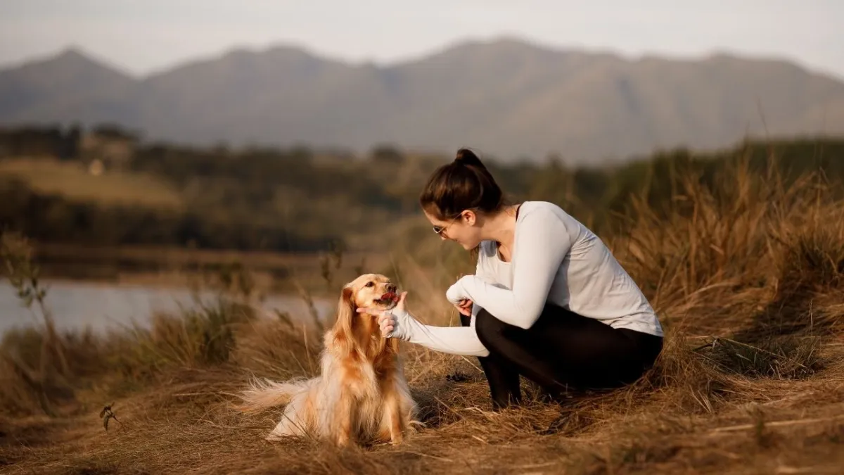Bilim kanıtladı: Köpeklerle zaman geçirmek kadınları hücresel olarak gençleştiriyor haberinin görseli