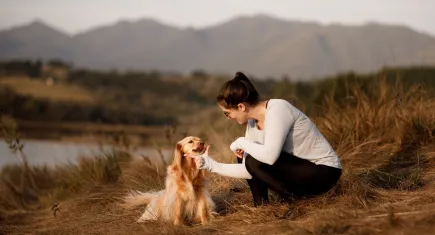 Bilim kanıtladı: Köpeklerle zaman geçirmek kadınları hücresel olarak gençleştiriyor