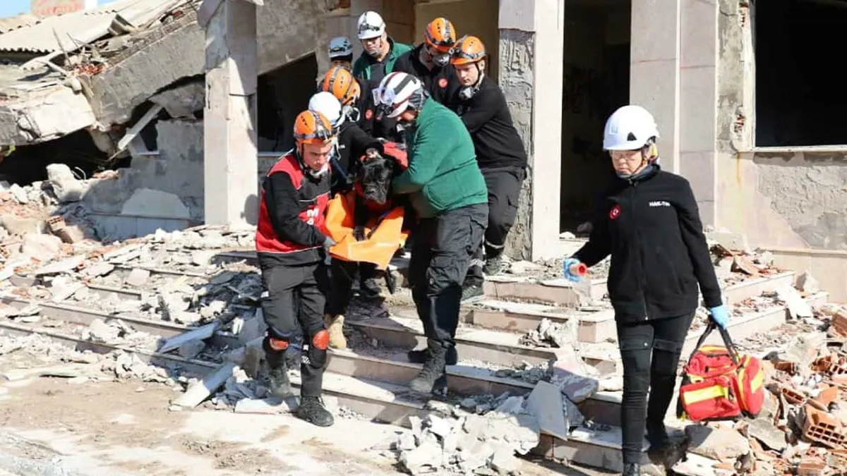 İzmir'de deprem tatbikatı yapıldı haberinin görseli