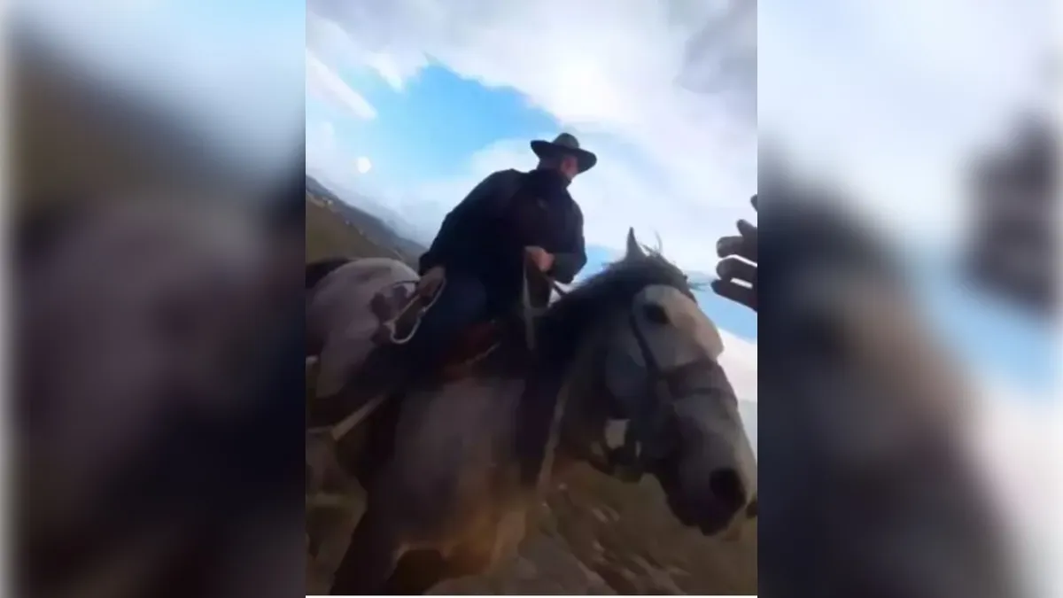 Kayseri'de yılkı atları kavgası mahkemeye taşındı! haberinin görseli