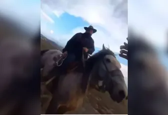 Kayseri'de yılkı atları kavgası mahkemeye taşındı!