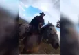 Kayseri'de yılkı atları kavgası mahkemeye taşındı!