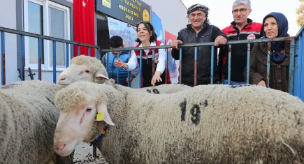 Aliağa’da üreticiye hibeli koyun ve koç dağıtımı