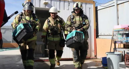 Bayraklı’da Hayvan Barınağında orman yangını tatbikatı