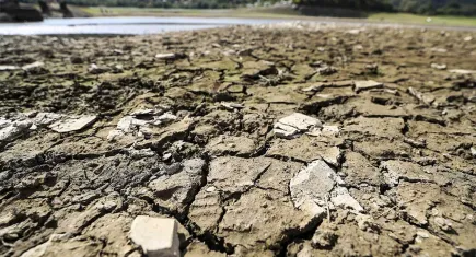Ege'nin su güvenliği tehdit altında