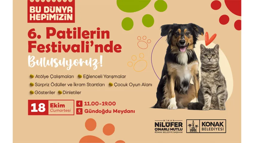 patı