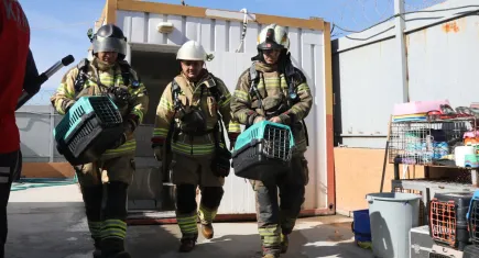 Bayraklı’da can dostlar orman yangınına karşı korunuyor