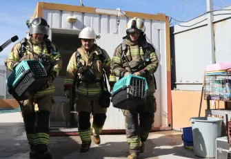 Bayraklı’da can dostlar orman yangınına karşı korunuyor