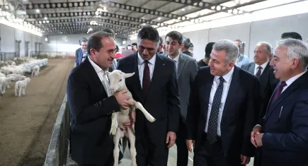 Aliağa’da Kırsal Kalkınma Hamlesi: 110 Üreticiye 210 Küçükbaş Hayvan Teslim Edildi