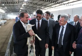 Aliağa’da Kırsal Kalkınma Hamlesi: 110 Üreticiye 210 Küçükbaş Hayvan Teslim Edildi