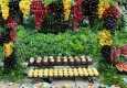 6. Büyük Efes Bağ Bozumu Festivali İzmir’de başlıyor!