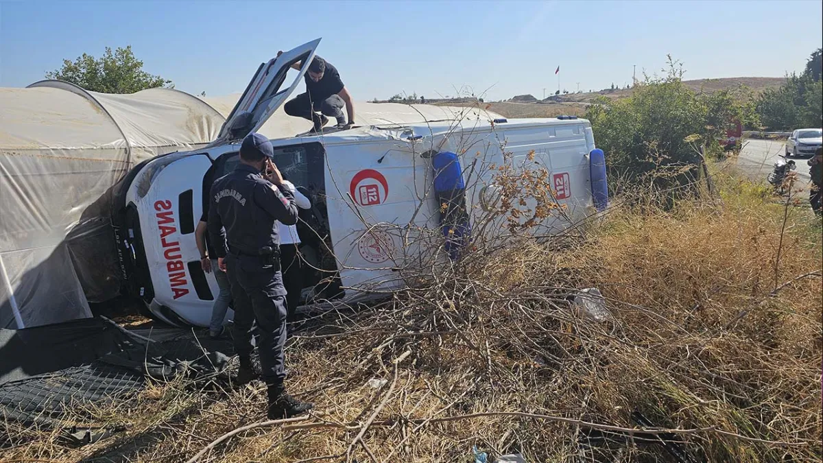 Adıyaman’da nar hasadı kavgası faciaya dönüştü: 8 yaralı haberinin görseli