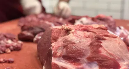 Dana eti yerinde saydı, kuzu eti yükseldi