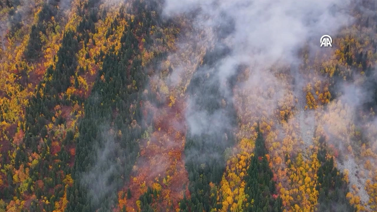 Artvin’in saklı cenneti Şavşat, sonbaharda renk cümbüşüyle büyülüyor başlıklı video haberin görseli