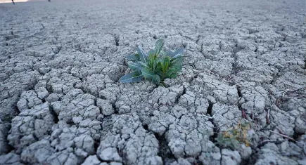 İZSU açıkladı: İzmir’in 75 milyon metreküp suyu kaldı