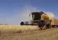 Tarımda girdi fiyatları ağustosta arttı! 