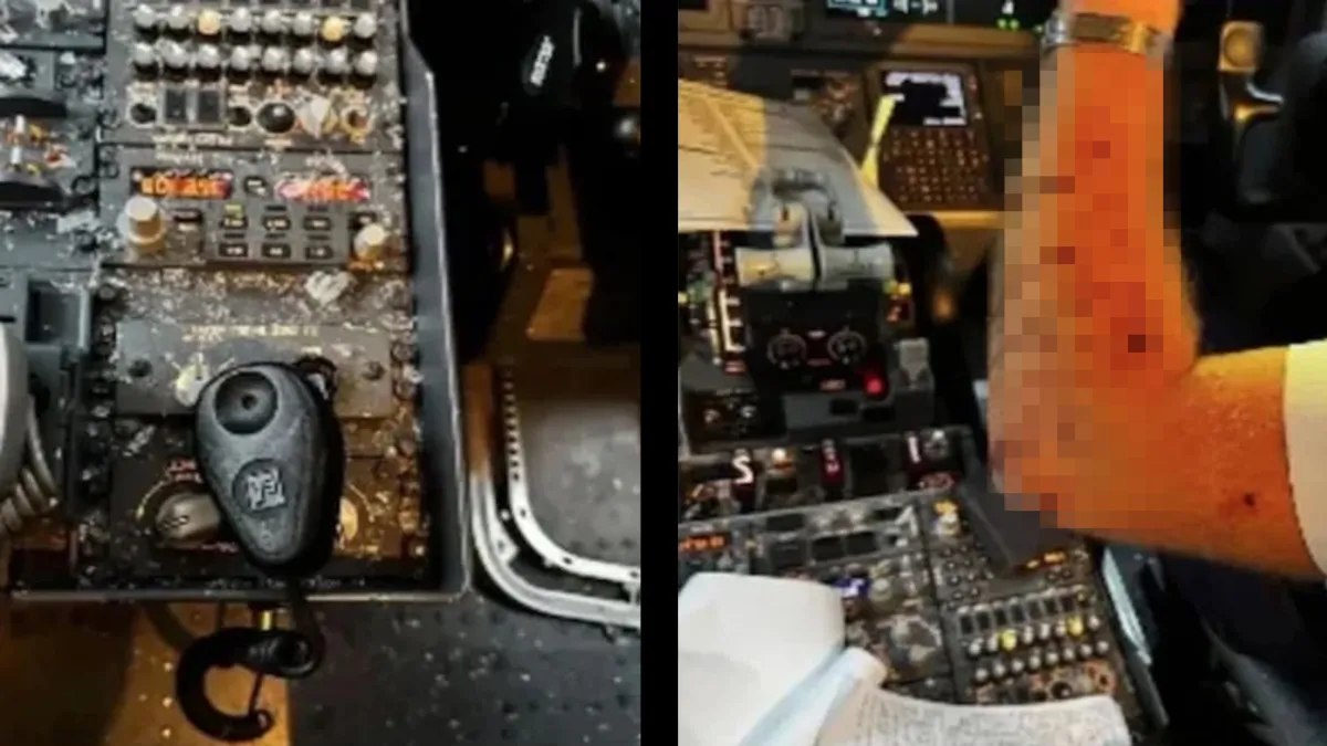 Yolcu uçağına meteor çarptı: Pilot yaralandı haberinin görseli