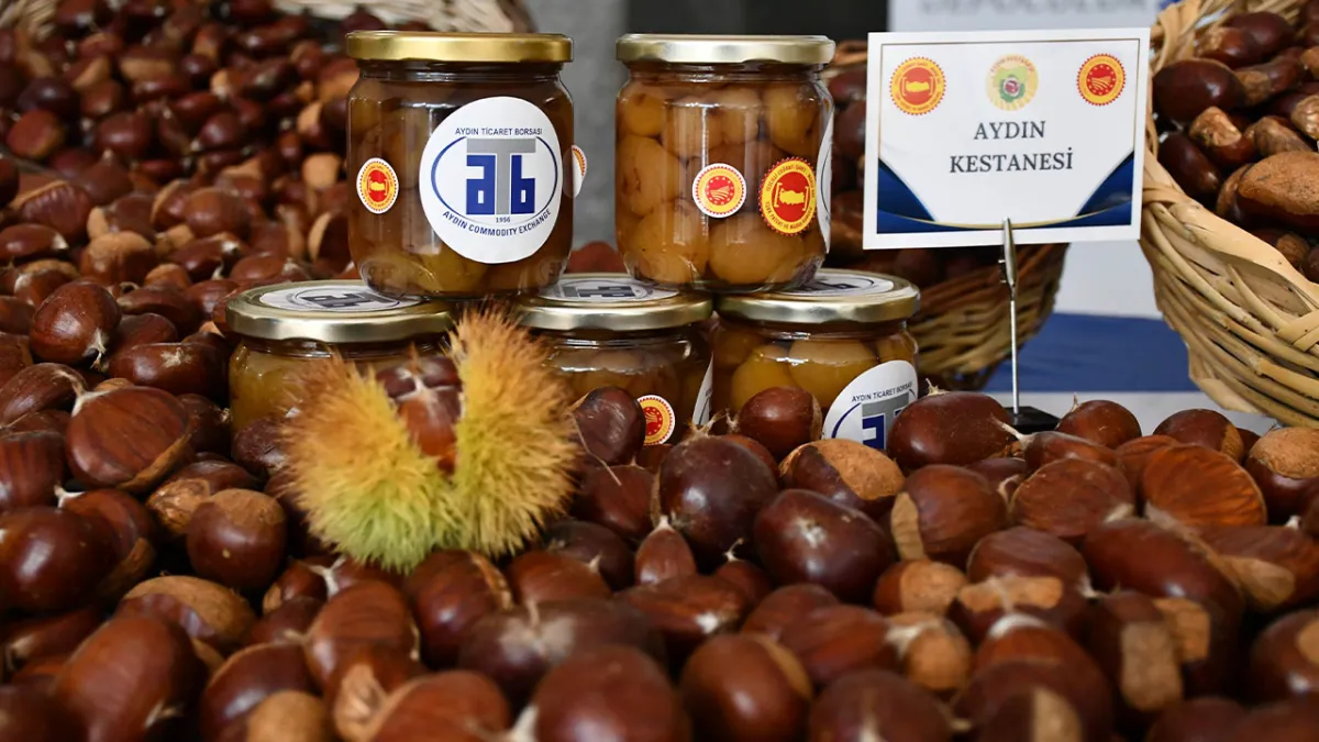 Aydın Ticaret Borsası'nda kestanede sezon başladı: İlk alım 550 TL’den yapıldı haberinin görseli