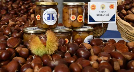 Aydın Ticaret Borsası'nda kestanede sezon başladı: İlk alım 550 TL’den yapıldı