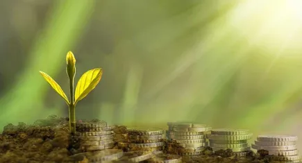 Bankaların iklim karnesi zayıf: Net sıfır hedefleri var