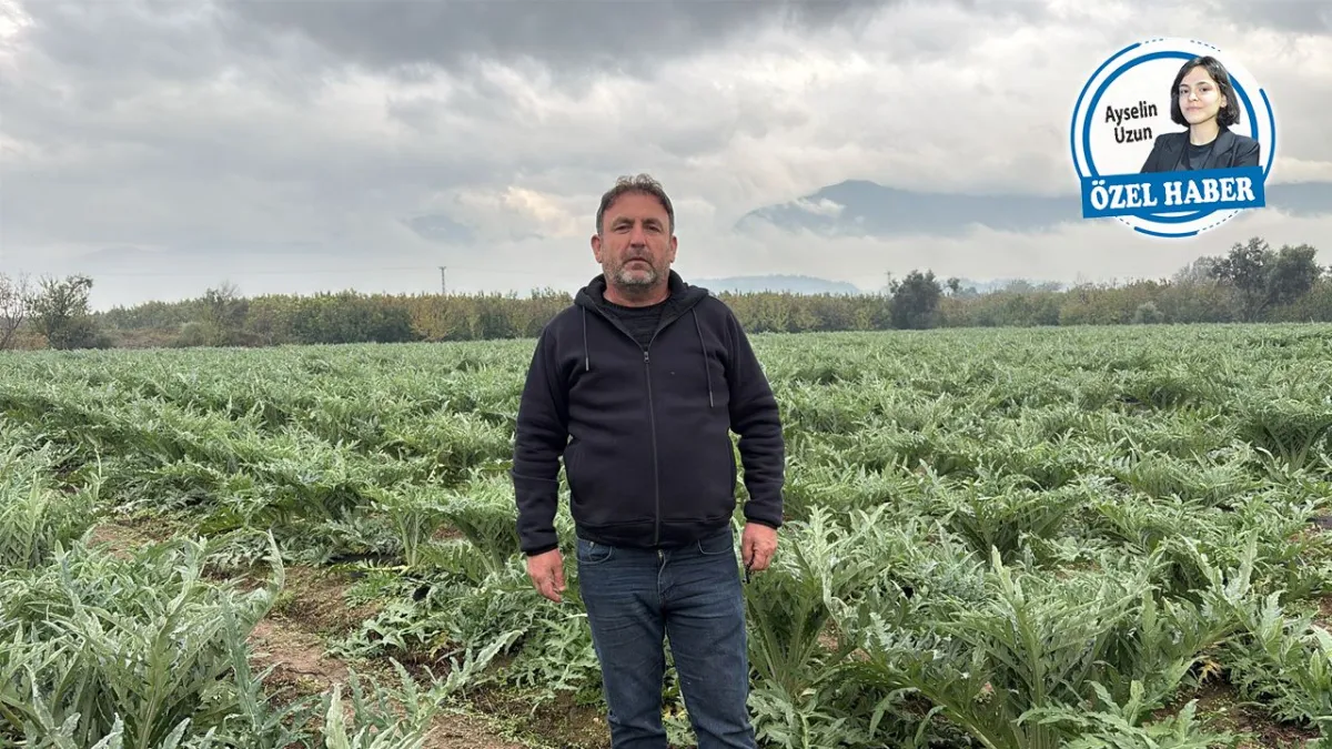 Kemalpaşa’da çiftçi kiraz ağaçlarını söktü haberinin görseli