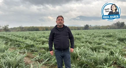 Kemalpaşa’da çiftçi kiraz ağaçlarını söktü