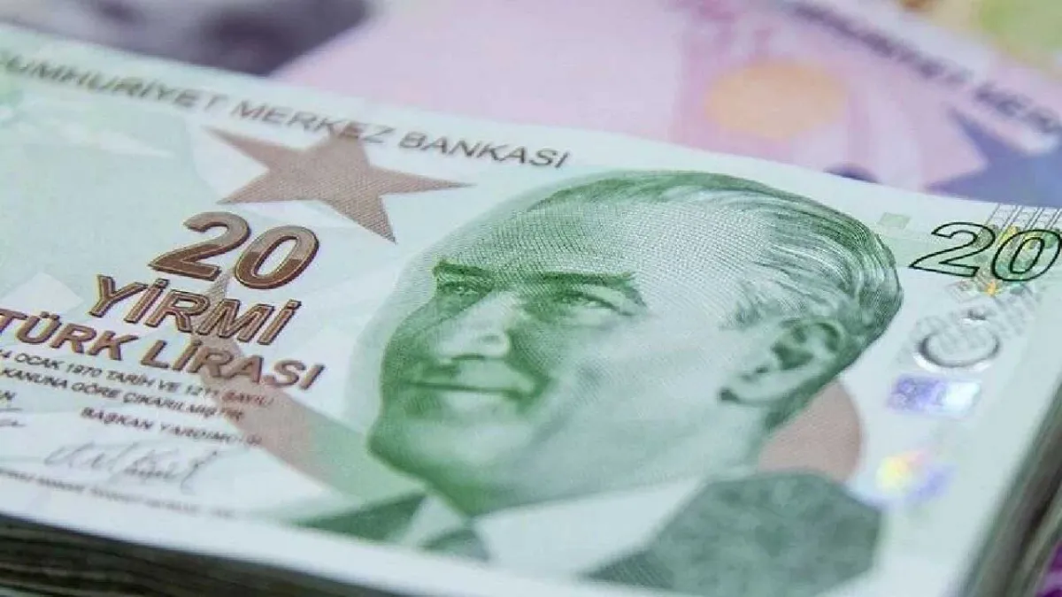 Yeni 20 TL banknotlar tedavülde: İmzalar değişti haberinin görseli