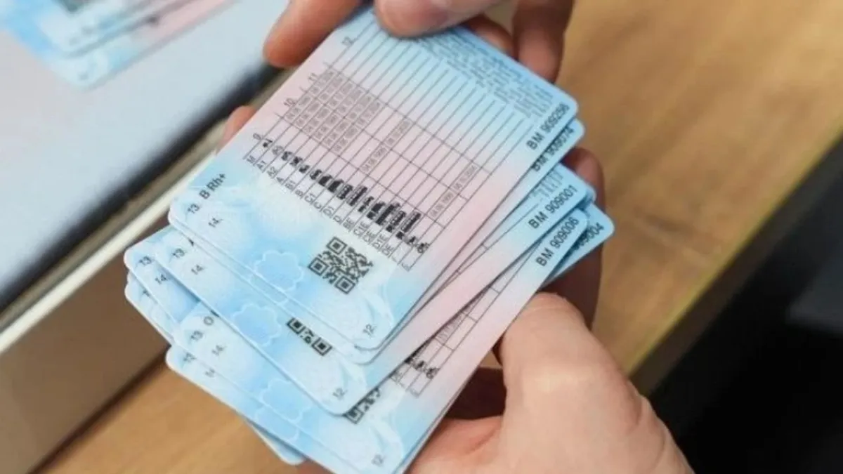 690 bin sürücü merakta! ehliyet affı TBMM'ye geliyor mu? İşte kulislerde konuşulan '11. yargı paketi' detayları haberinin görseli