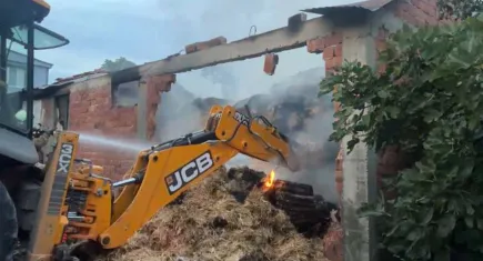 Büyükbaş hayvanlar yangında telef oldu!